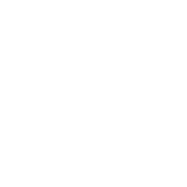 Fire Tv Stick